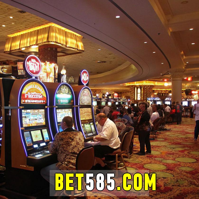  bet585